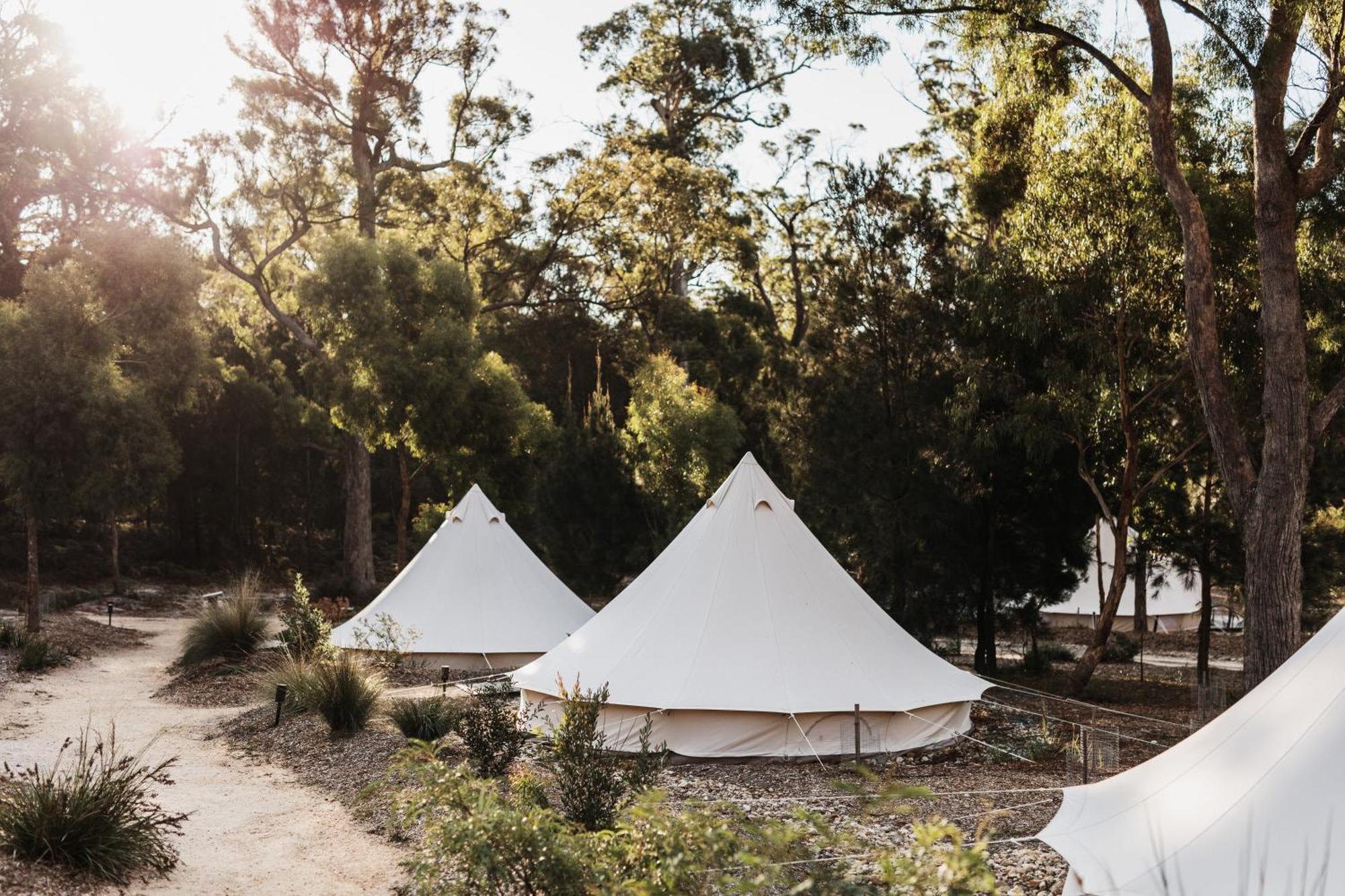 Bed and Breakfast Bay Of Fires Bush Retreat Binalong Bay Экстерьер фото
