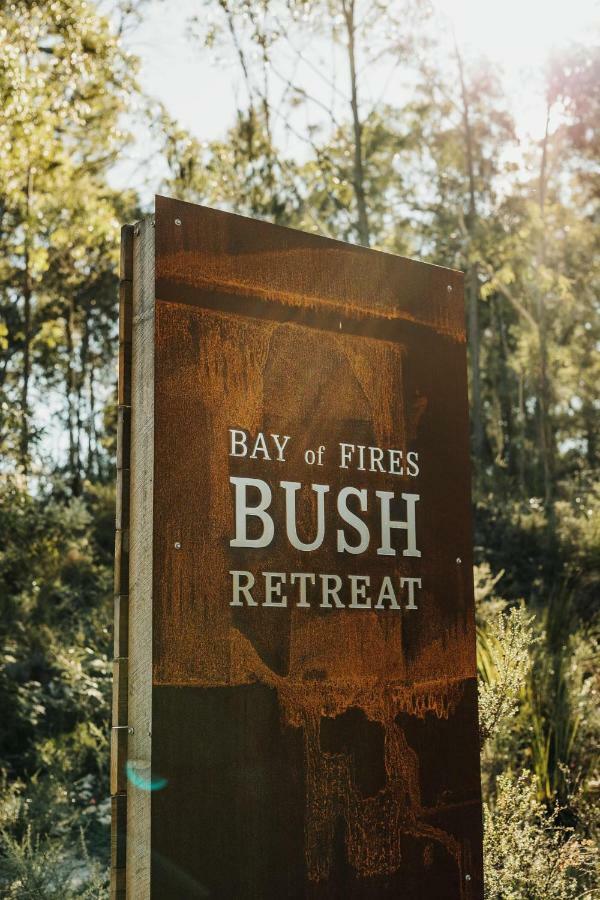 Bed and Breakfast Bay Of Fires Bush Retreat Binalong Bay Экстерьер фото