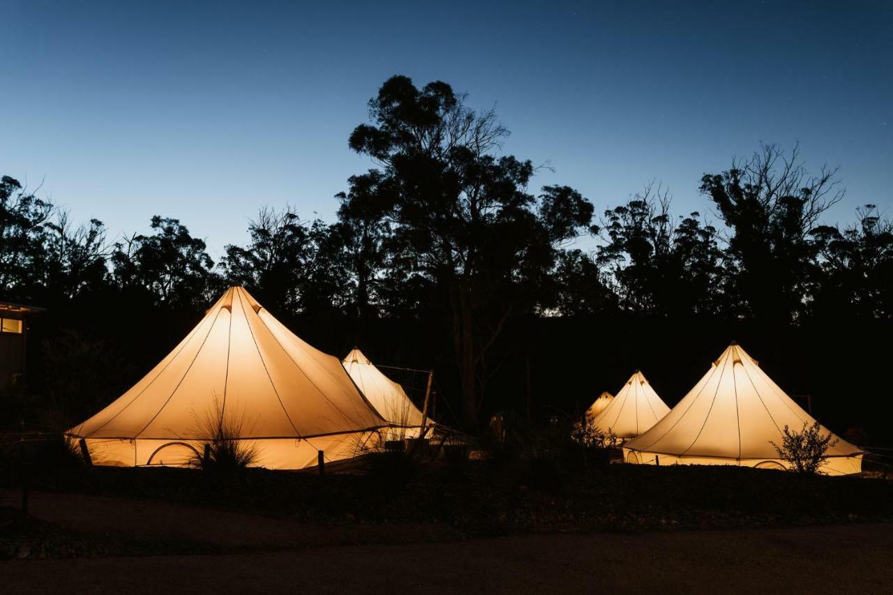 Bed and Breakfast Bay Of Fires Bush Retreat Binalong Bay Экстерьер фото